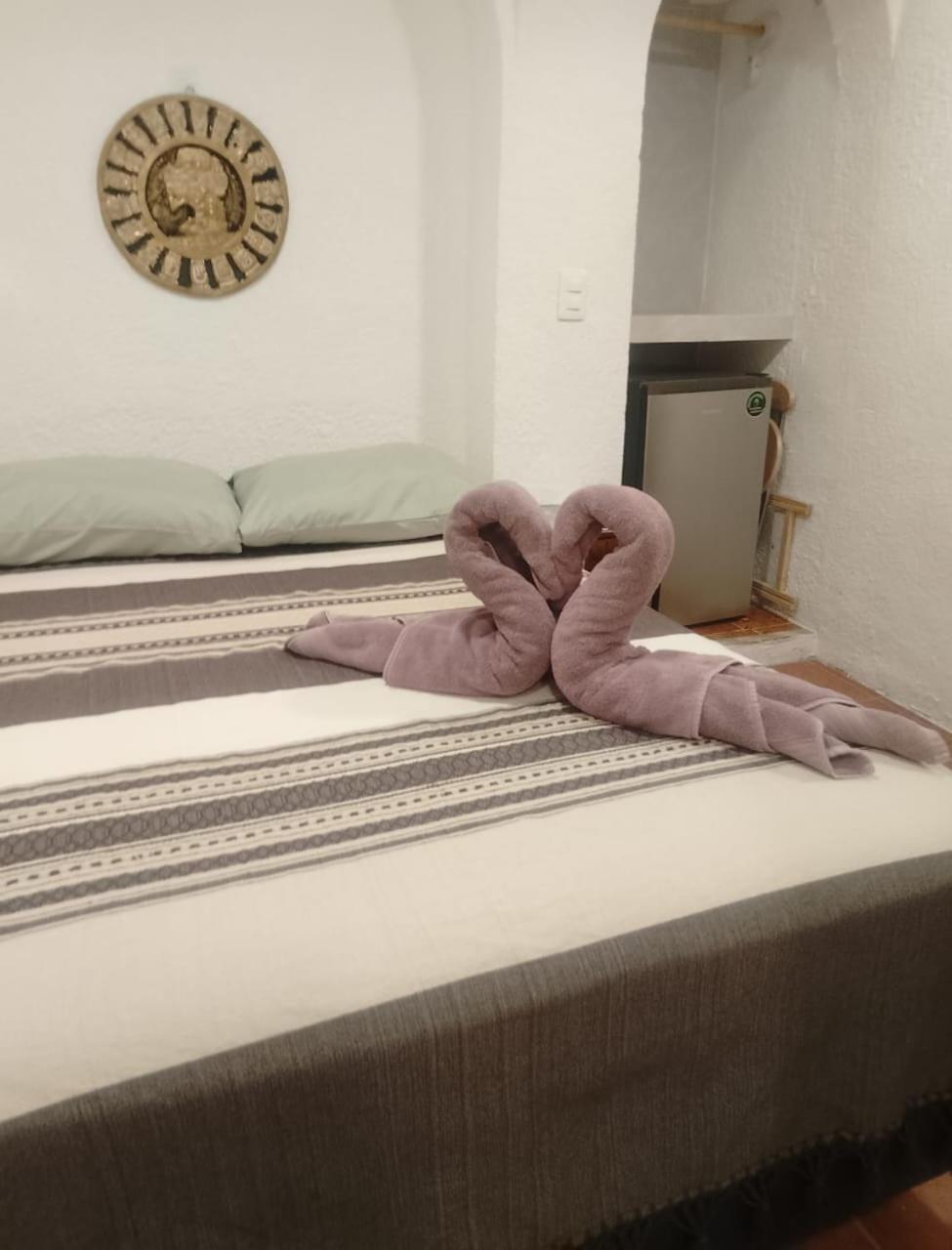 Homestay Casa Nance Coba Mercado 28 Smart Tv Y Ado Centro *